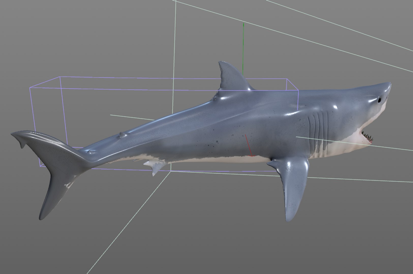 shark 3D model https://p.turbosquid.com/ts-thumb/Mi/lrYJYU/IFs4ZABO/1/png/1588405340/1920x1080/fit_q87/24f5f466745c9f514017696f66e267d159e3c032/1.jpg