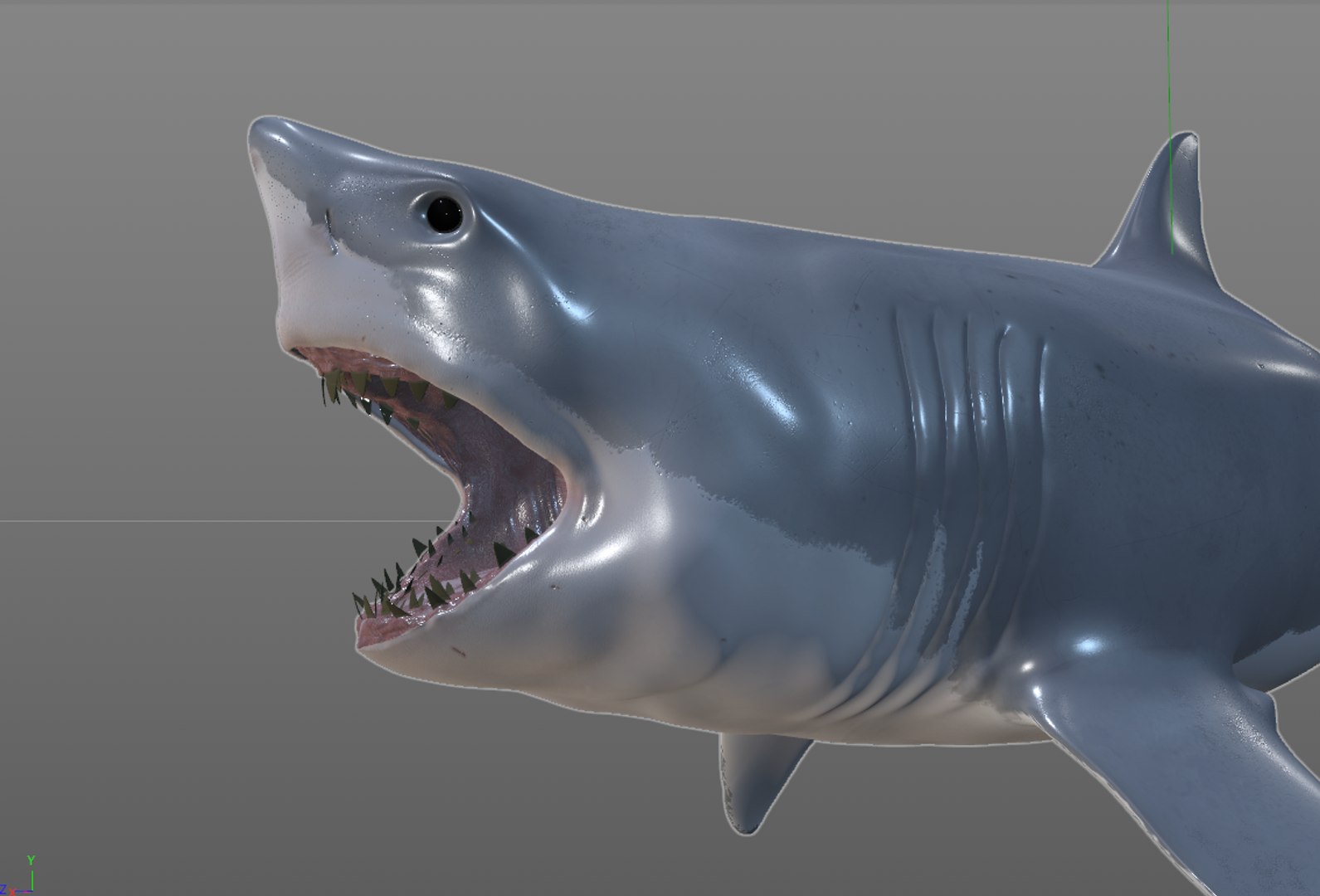 shark 3D model https://p.turbosquid.com/ts-thumb/Mi/lrYJYU/N5f8on3c/8/png/1588405340/1920x1080/fit_q87/773d41fd4e394075b9f367303bee1863b8a84973/8.jpg