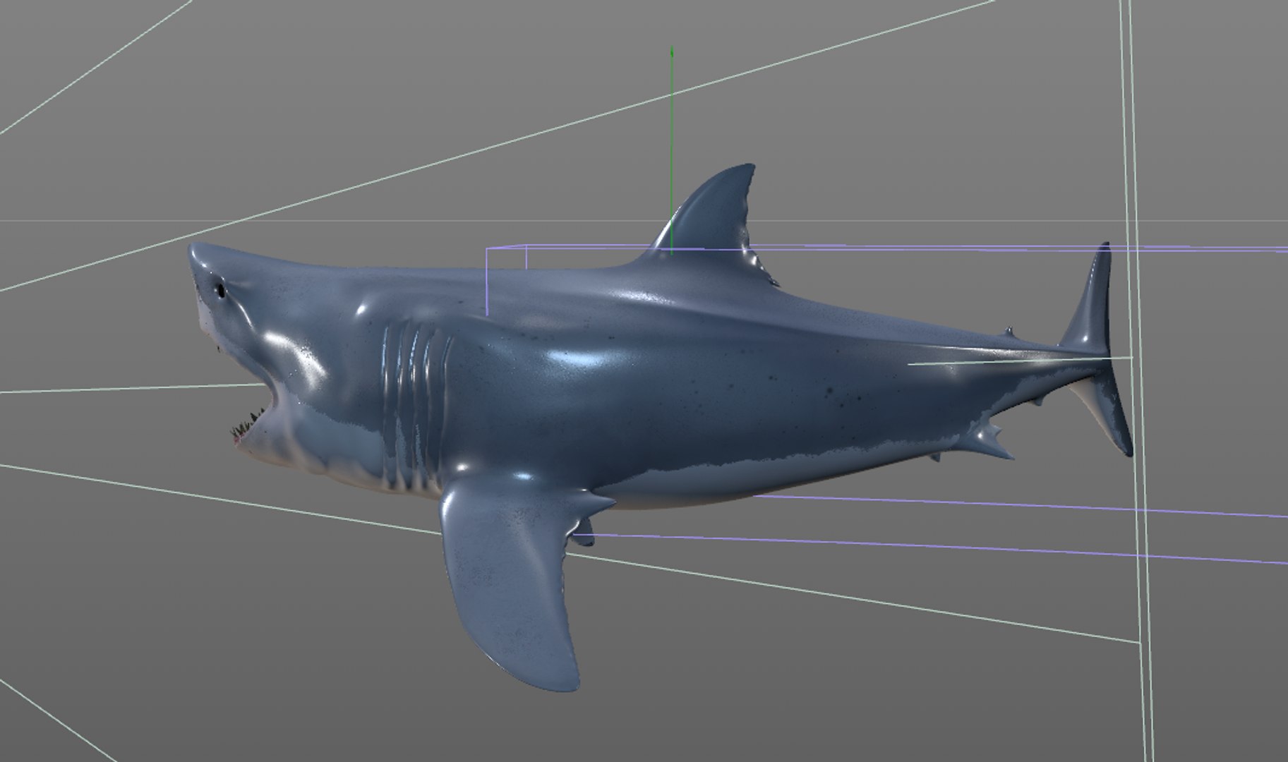 3D Shark Modeling in Blender, Part 01, @3d_animal.factory, Tutorial