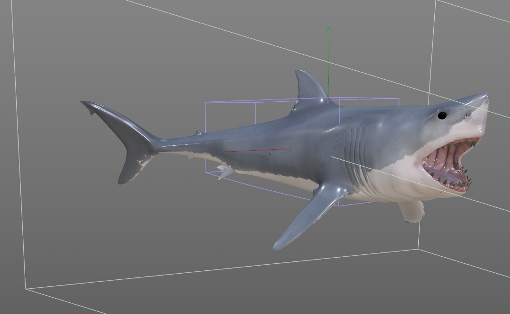 shark 3D model https://p.turbosquid.com/ts-thumb/Mi/lrYJYU/kdMKsyHZ/2/png/1588405340/1920x1080/fit_q87/f5ff832813aec16040fadffc78359706e4f6e495/2.jpg