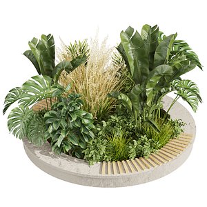 3D plant vol 971 - outdoor - garden - leaf - banana - pampas