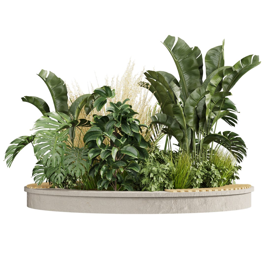 3D plant vol 971 - outdoor - garden - leaf - banana - pampas https://p.turbosquid.com/ts-thumb/Mi/lu4Fm8/Ur/2/jpg/1786295930/1920x1080/fit_q87/b458f35b4ee4e177195dd13775d8f081ca43df4d/2.jpg
