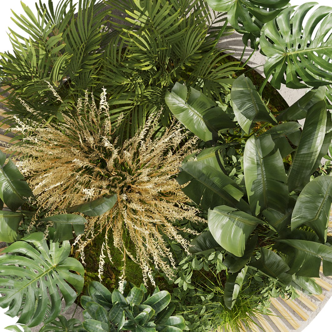 3D plant vol 971 - outdoor - garden - leaf - banana - pampas https://p.turbosquid.com/ts-thumb/Mi/lu4Fm8/X7/5/jpg/1786295931/1920x1080/fit_q87/938f59d67349e9710cec72a4e5282db6d1987e8e/5.jpg