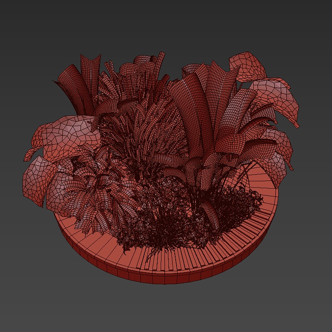 3D plant vol 971 - outdoor - garden - leaf - banana - pampas https://p.turbosquid.com/ts-thumb/Mi/lu4Fm8/Z2/6/jpg/1786295932/1920x1080/fit_q87/48f97e68408ce9296b30c2ec61a9486cbb64b9f4/6.jpg
