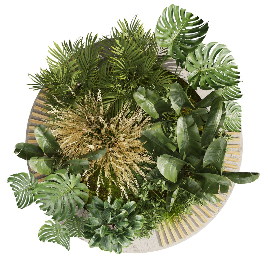 3D plant vol 971 - outdoor - garden - leaf - banana - pampas https://p.turbosquid.com/ts-thumb/Mi/lu4Fm8/we/3/jpg/1786295930/1920x1080/fit_q87/5430d4b86e27331ff3cff53f5933734b27d9c77e/3.jpg
