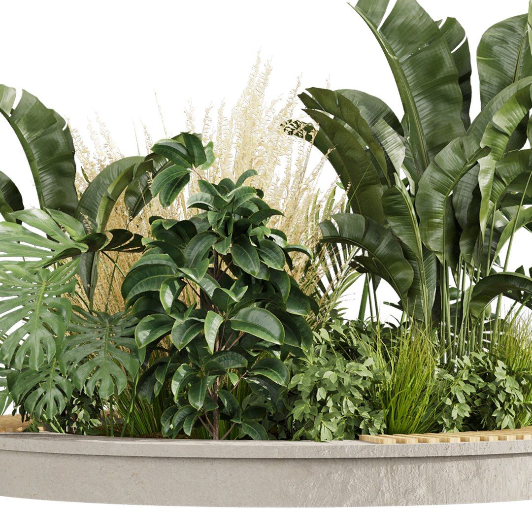 3D plant vol 971 - outdoor - garden - leaf - banana - pampas https://p.turbosquid.com/ts-thumb/Mi/lu4Fm8/xu/4/jpg/1786295930/1920x1080/fit_q87/855ee694d41379f1120273cf5f91268155117f41/4.jpg