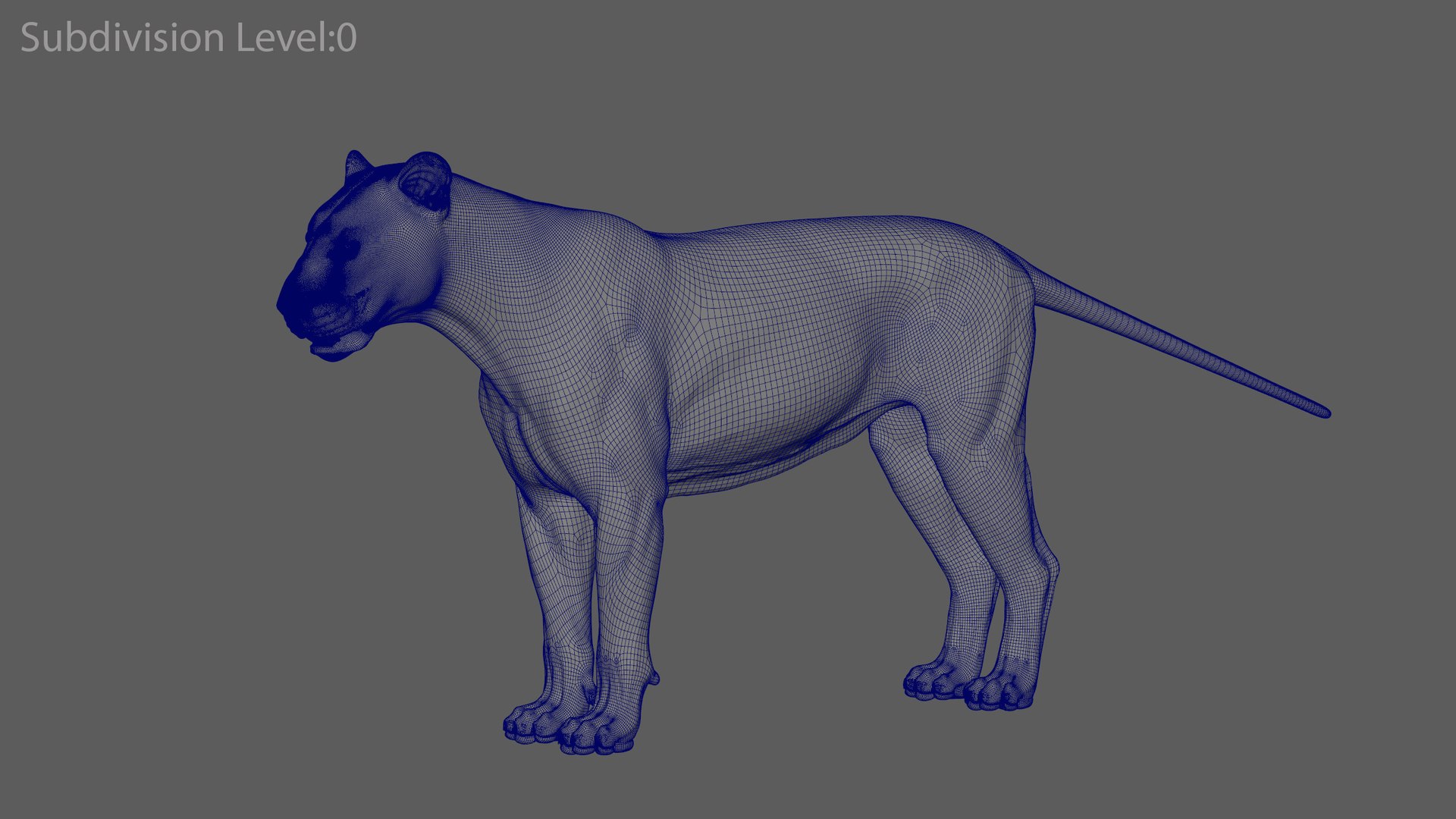 Tigre de Bengala ANIMADO XGEN Modelo 3D - TurboSquid 1643030