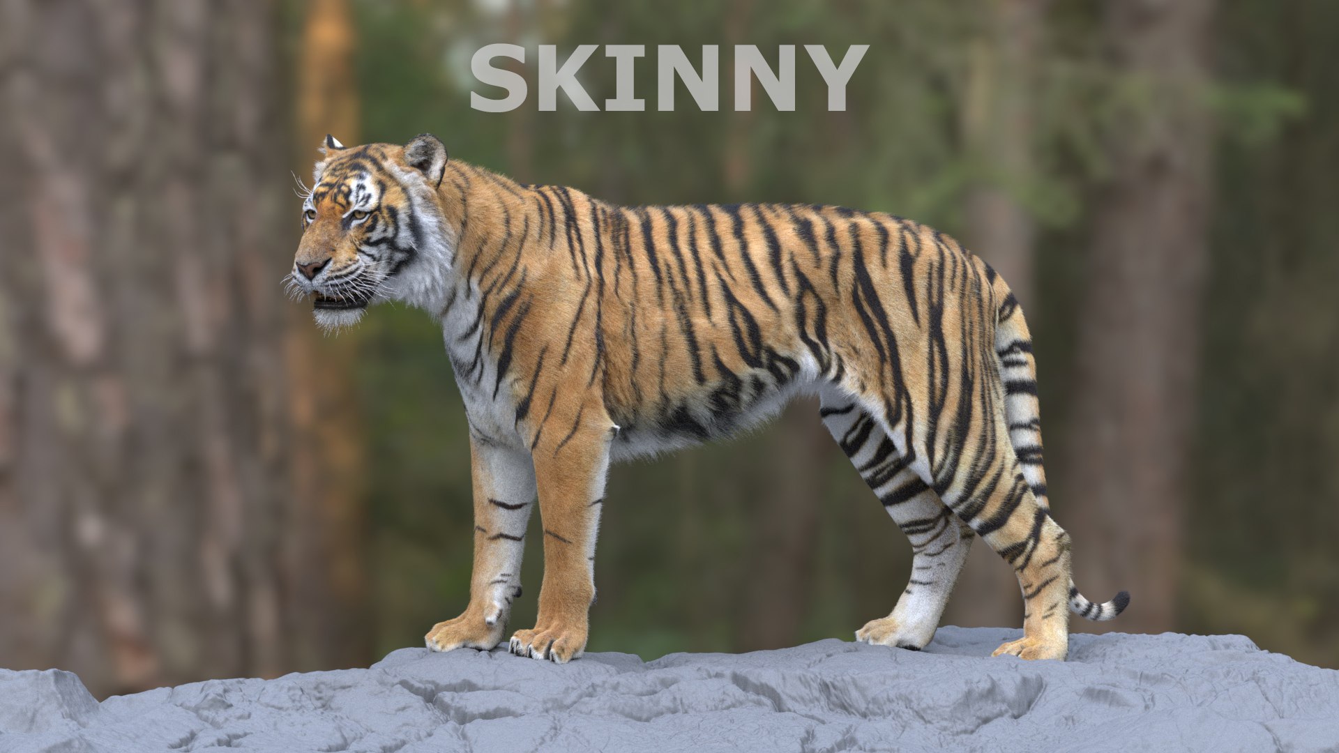 Tiger and Deer ANIMATED Collection 3D https://p.turbosquid.com/ts-thumb/Mi/v5aJtB/GG/skinny/jpg/1672577193/1920x1080/fit_q87/e2f0d1eeea6d394e53d0b4be1ee1191bf19df176/skinny.jpg