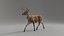 Tiger and Deer ANIMATED Collection