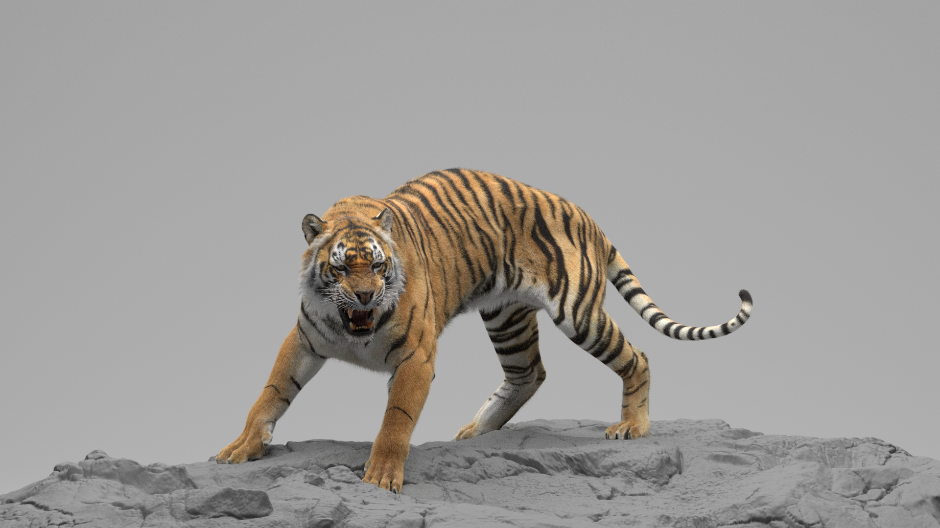 Bengal Tiger ANIMATED Yeti 3D model - TurboSquid 2124743