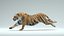 Tiger and Deer ANIMATED Collection