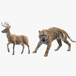 Tiger and Deer ANIMATED Collection 3D