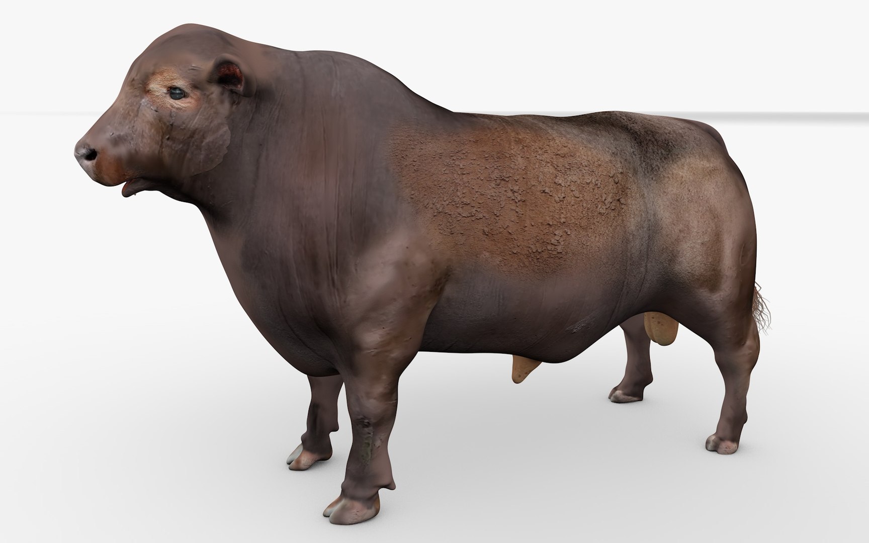 RED ANGUS L2059 3D model - TurboSquid 2153502