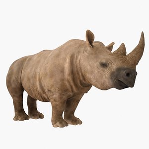 realistic rhino 3d 3ds