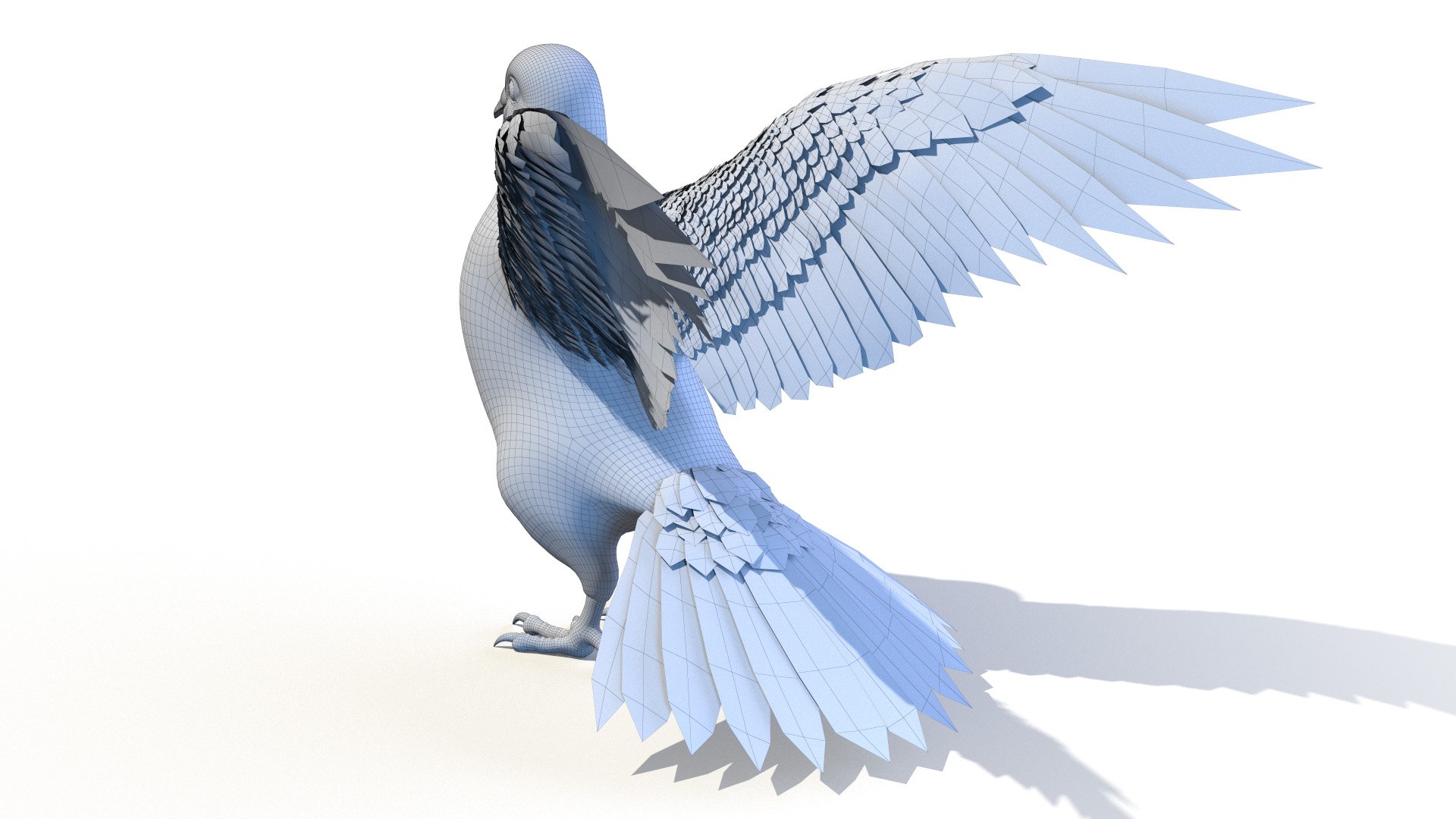 3D pigeon feather wings https://p.turbosquid.com/ts-thumb/Mj/BMv0Op/7XrO3YKm/pigeon_wire0002/jpg/1597132903/1920x1080/fit_q87/1bf21495753d2fc32f7513c7b658e6ce90a67609/pigeon_wire0002.jpg