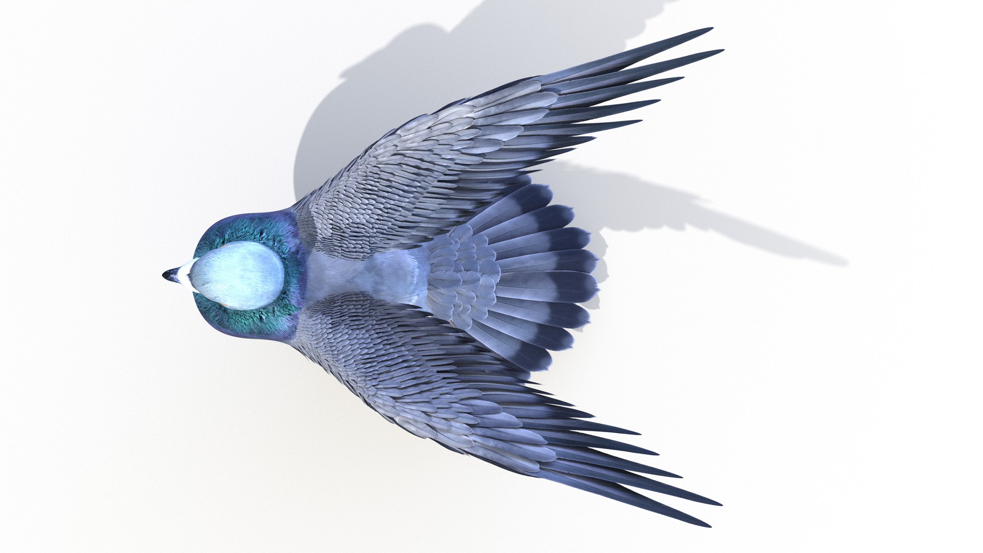 3D pigeon feather wings https://p.turbosquid.com/ts-thumb/Mj/BMv0Op/8YZL1hBN/pigeon0008/jpg/1597132854/1920x1080/fit_q87/f97f219180ffe7869c75a68ce3e122df16dcf67f/pigeon0008.jpg