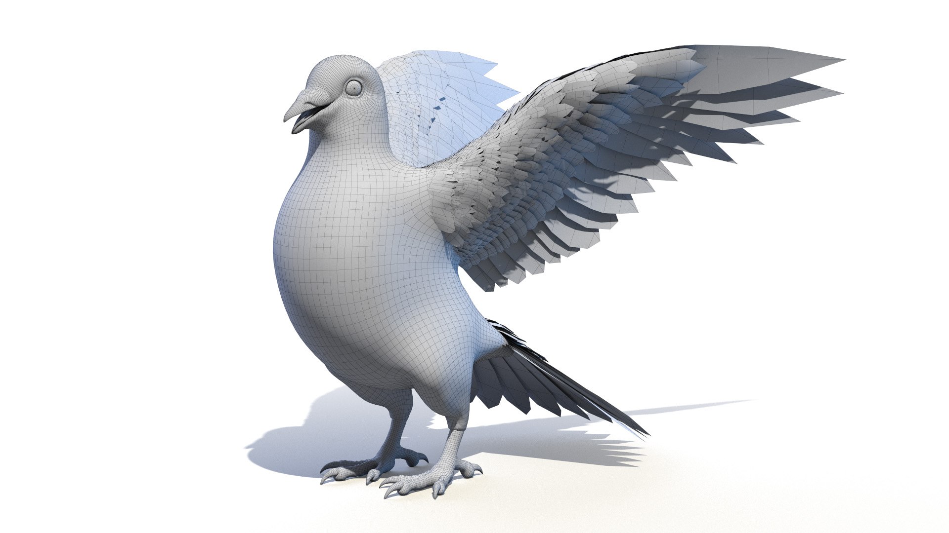 3D pigeon feather wings https://p.turbosquid.com/ts-thumb/Mj/BMv0Op/EIbI88hv/pigeon_wire0000/jpg/1597132902/1920x1080/fit_q87/85b59bc59e5c2322c9543440f64143d7b9411c4d/pigeon_wire0000.jpg