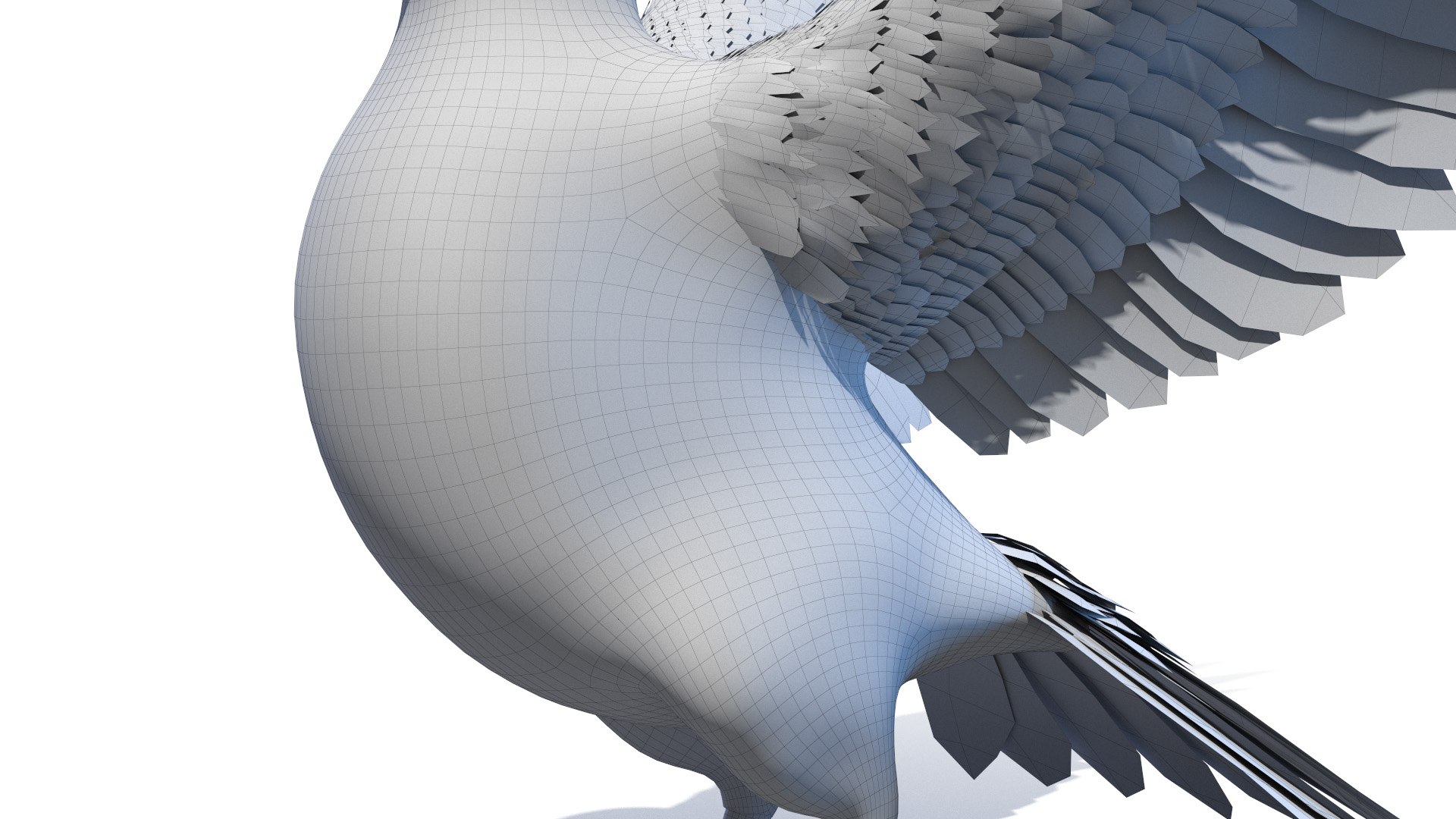 3D pigeon feather wings https://p.turbosquid.com/ts-thumb/Mj/BMv0Op/MP6nTM6b/pigeon_wire0005/jpg/1597132903/1920x1080/fit_q87/ee1a6fa6ff081c10e8114d2293e341f87805315c/pigeon_wire0005.jpg