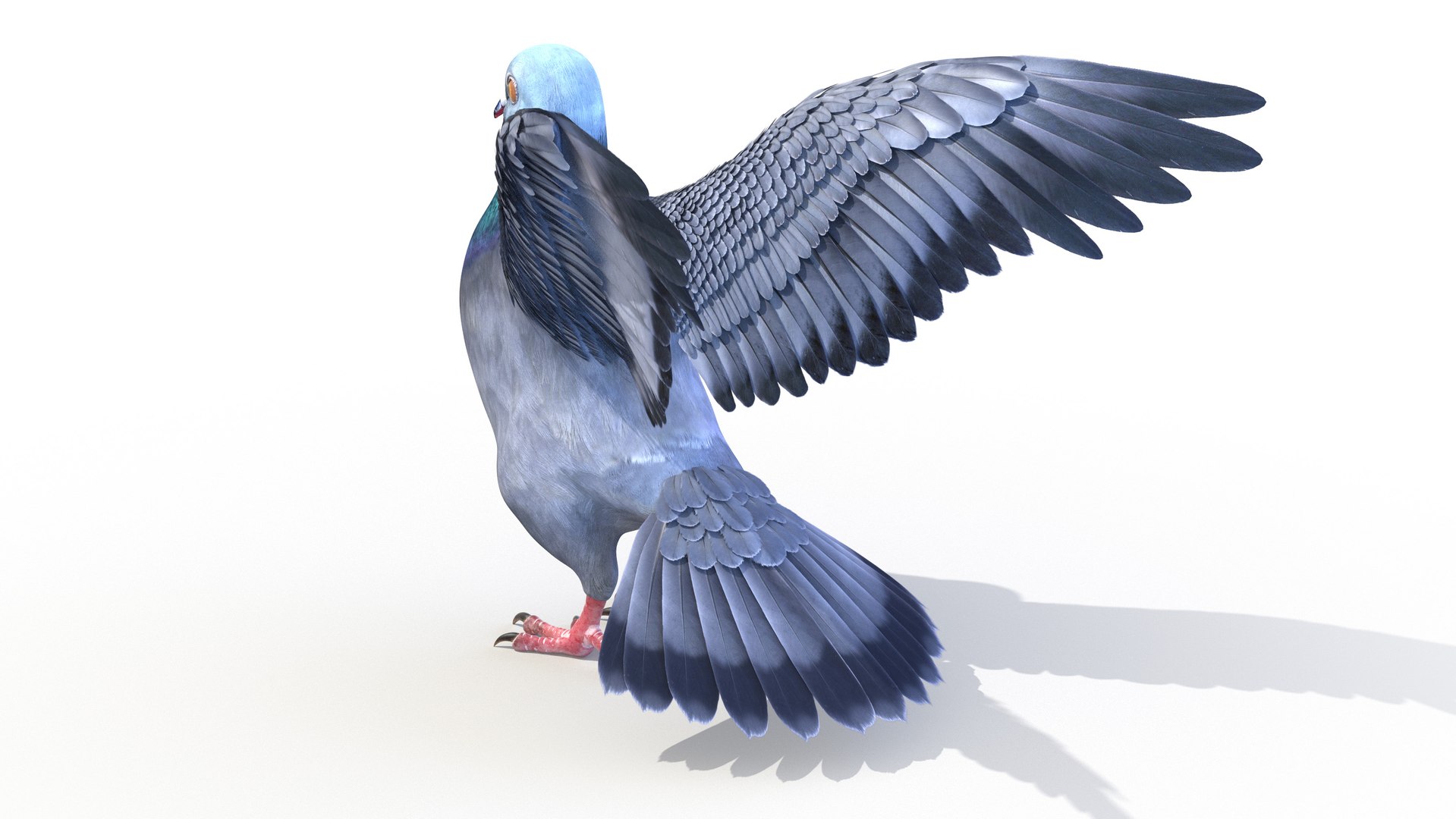 3D pigeon feather wings https://p.turbosquid.com/ts-thumb/Mj/BMv0Op/f7KFNE4U/pigeon0002/jpg/1597132854/1920x1080/fit_q87/6ec00d02012c1354e67ffcaf9b56e9cb013833bd/pigeon0002.jpg
