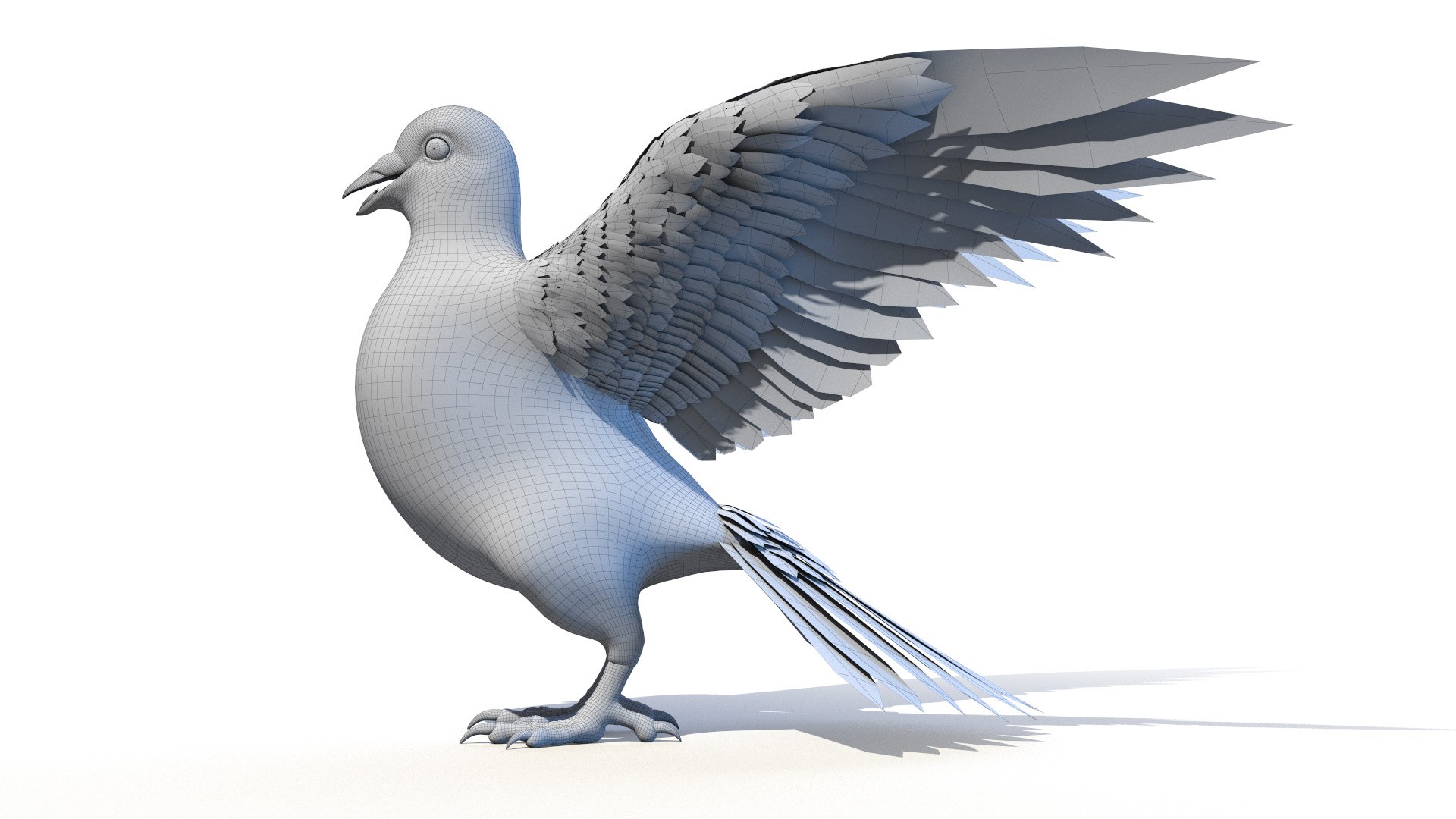 3D pigeon feather wings https://p.turbosquid.com/ts-thumb/Mj/BMv0Op/g8JAfUSb/pigeon_wire0001/jpg/1597132902/1920x1080/fit_q87/febec370ee6174f40b81a7bccb10ef64569c453b/pigeon_wire0001.jpg
