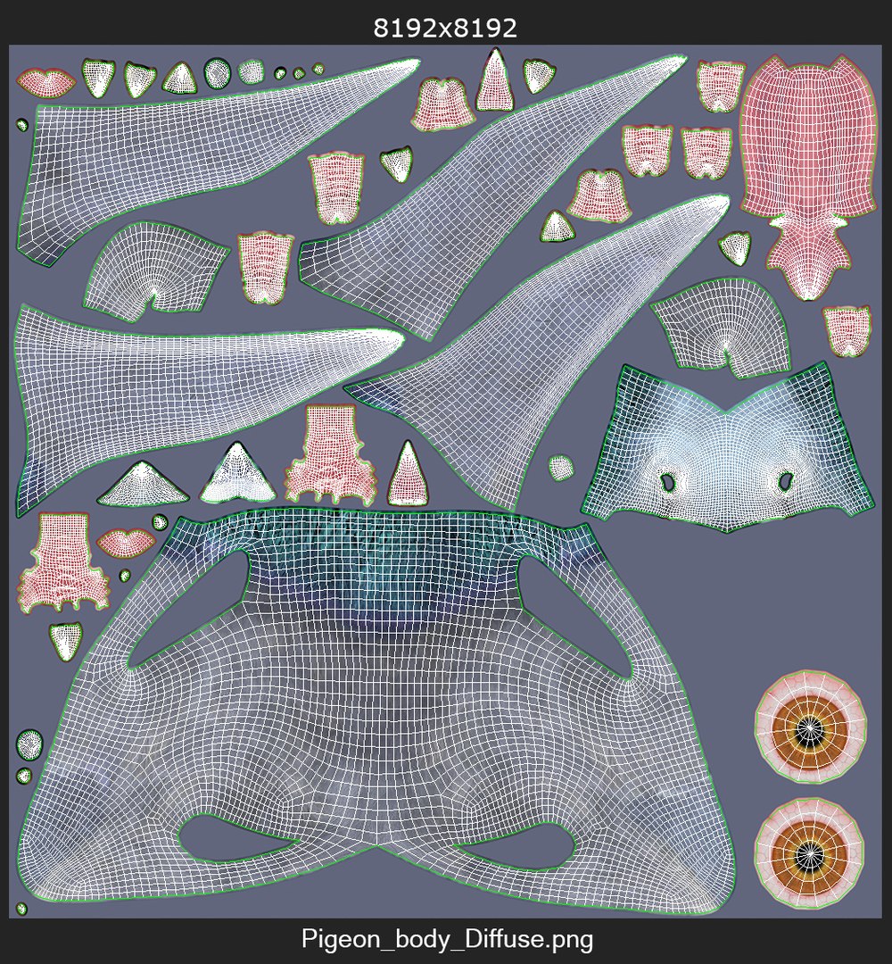 3D pigeon feather wings https://p.turbosquid.com/ts-thumb/Mj/BMv0Op/huraXi0R/uwrapping/jpg/1597142799/1920x1080/fit_q87/c9830a42b3a5a658697ce7acaf532100ae272bb7/uwrapping.jpg