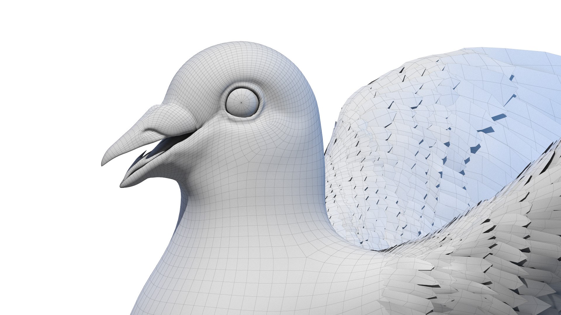 3D pigeon feather wings https://p.turbosquid.com/ts-thumb/Mj/BMv0Op/k7zozAJs/pigeon_wire0007/jpg/1597132903/1920x1080/fit_q87/c2a6b0f543ae978159cc6d64c869573bc6784d9f/pigeon_wire0007.jpg