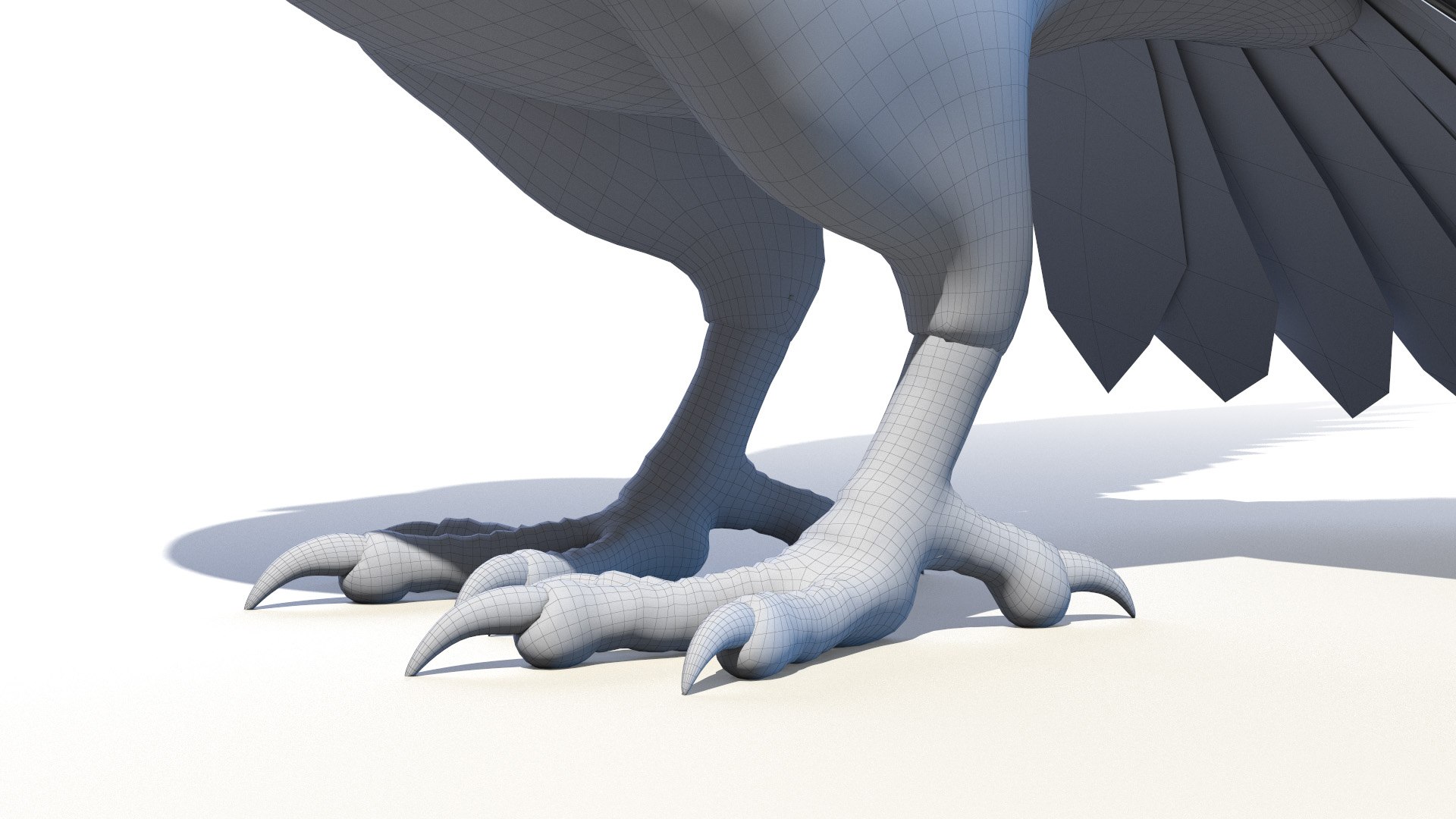 3D pigeon feather wings https://p.turbosquid.com/ts-thumb/Mj/BMv0Op/kgRITWdj/pigeon_wire0006/jpg/1597132903/1920x1080/fit_q87/1a4531300a111a7d9b2911f92df6dba1a9f86eaa/pigeon_wire0006.jpg