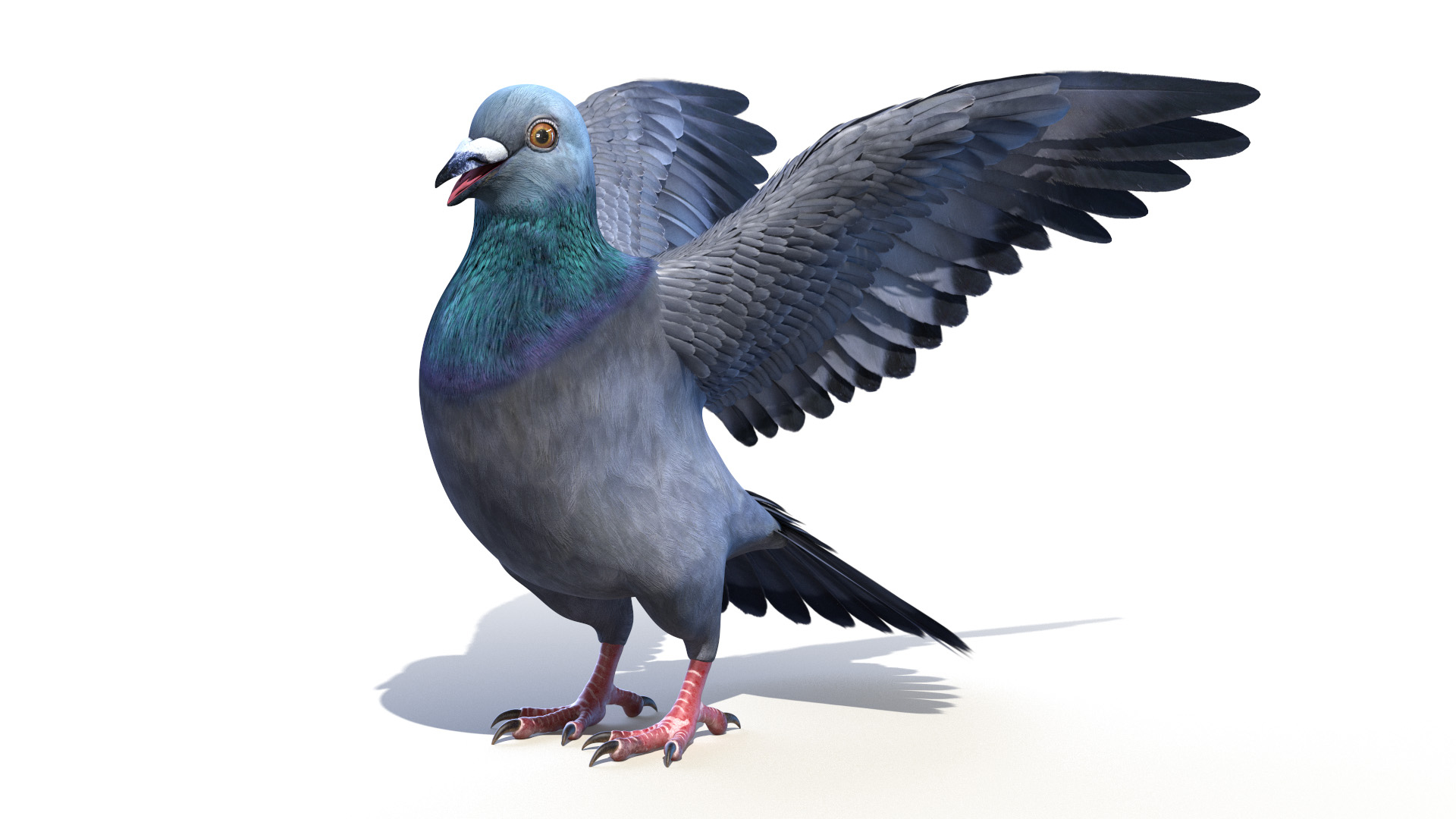 3D pigeon feather wings https://p.turbosquid.com/ts-thumb/Mj/BMv0Op/tEoJZqst/pigeon_turntable/jpg/1596800321/1920x1080/turn_fit_q99/e8e94956333eb4c18b1001e26fe731508a58e682/pigeon_turntable-1.jpg