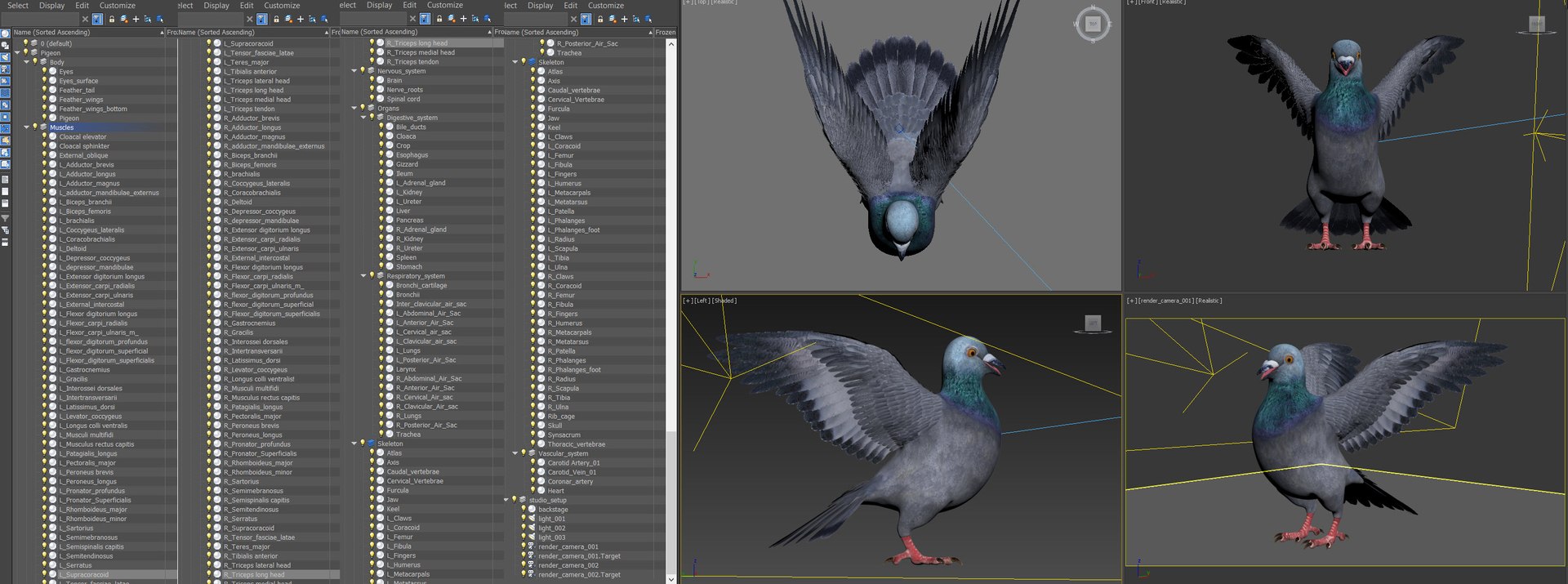 3D pigeon feather wings https://p.turbosquid.com/ts-thumb/Mj/BMv0Op/xXzESHCI/objects/jpg/1597142790/1920x1080/fit_q87/7b235377db0eacfbe89e54df8086492308f27a9d/objects.jpg