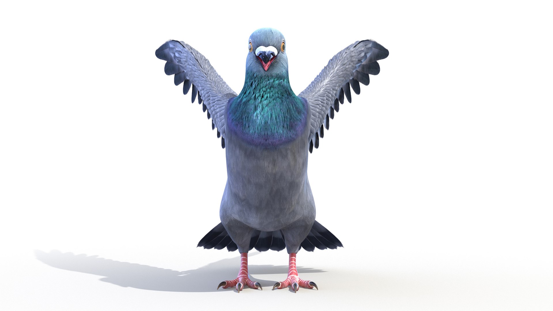 3D pigeon feather wings https://p.turbosquid.com/ts-thumb/Mj/BMv0Op/xo4bgXNa/pigeon0004/jpg/1597132854/1920x1080/fit_q87/eae9d817562906481505c38ad7db5efa15157ac6/pigeon0004.jpg