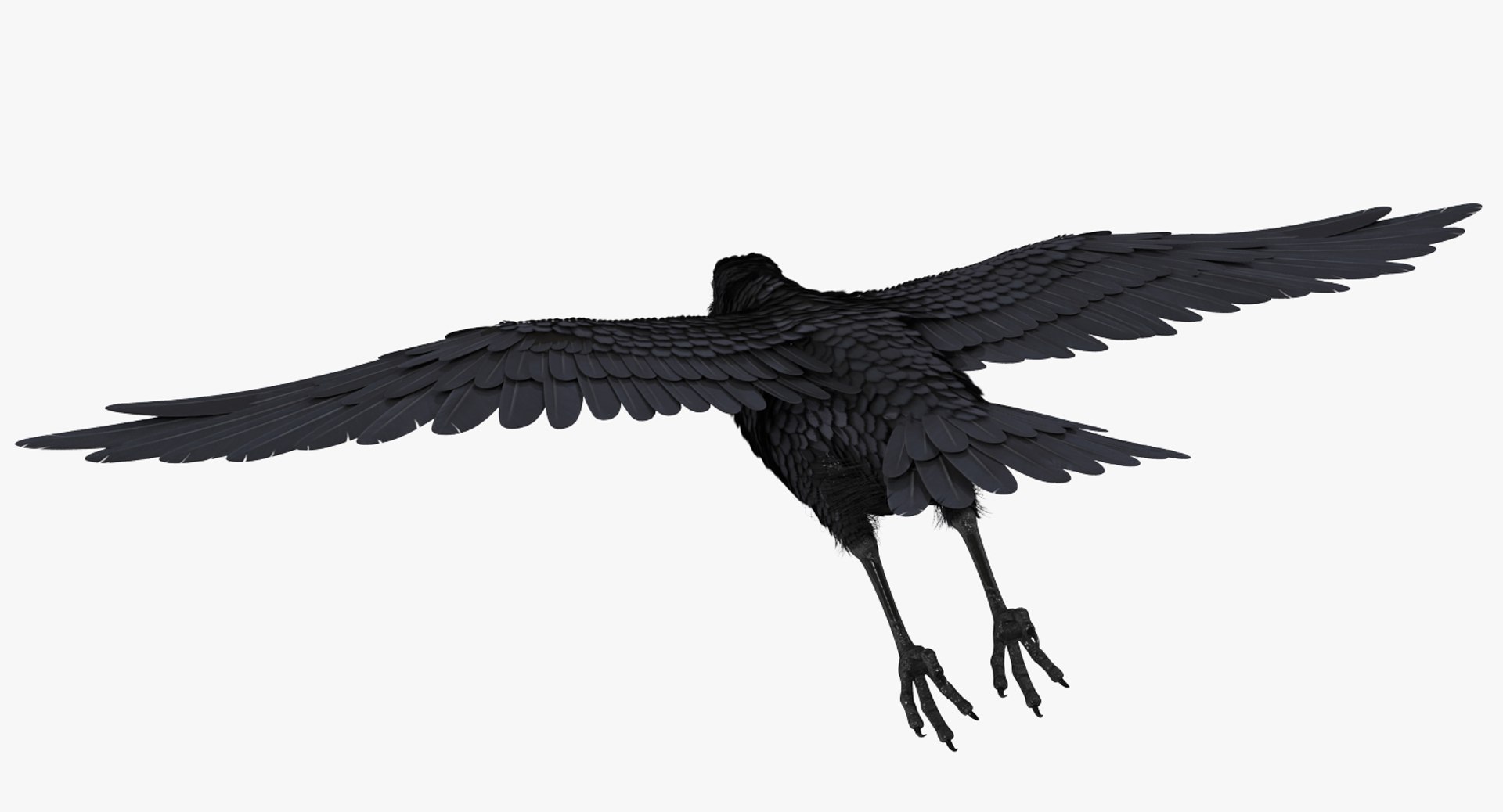 3D Raven Flying Model - TurboSquid 1303649