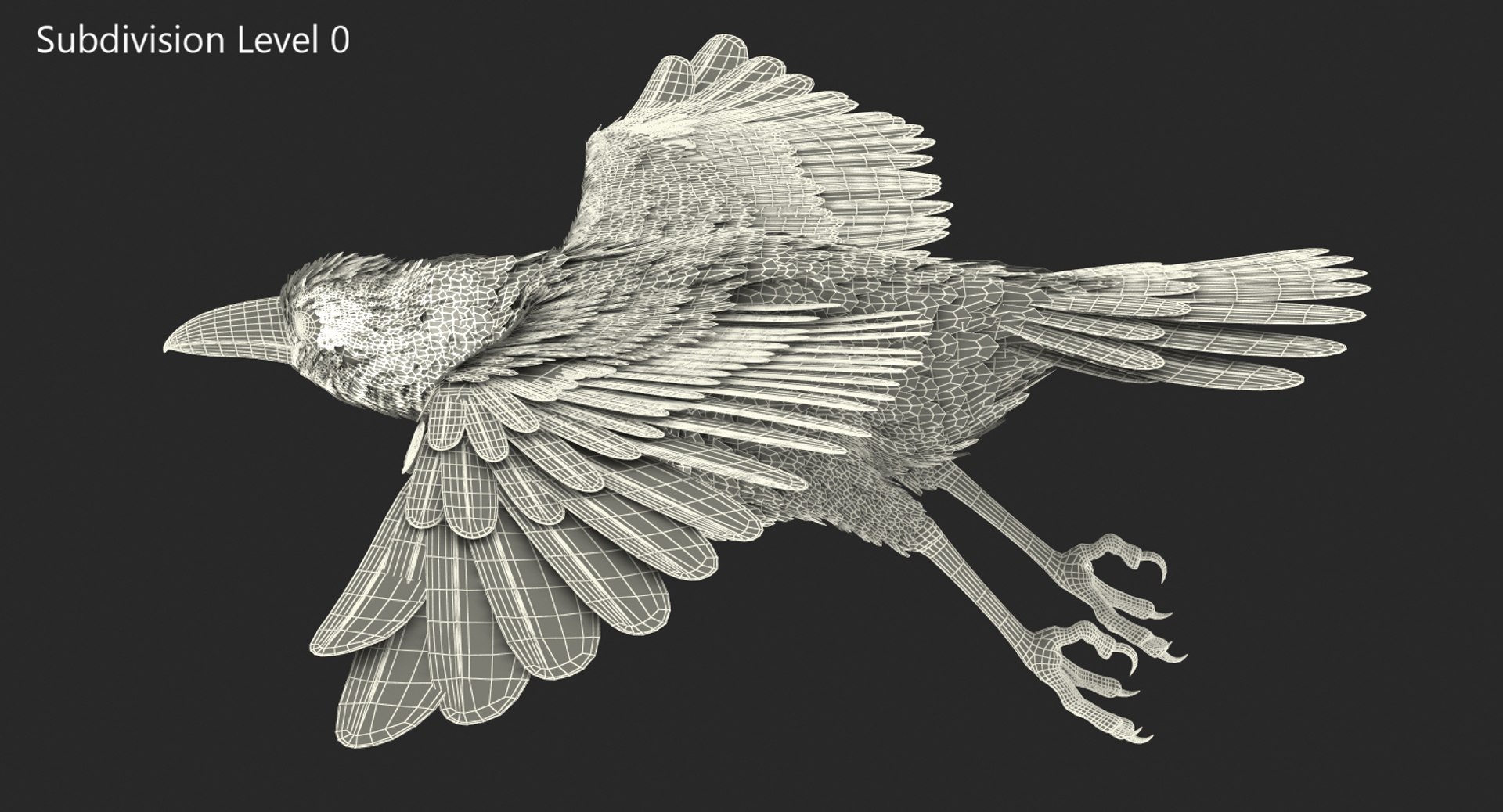 3D Raven Flying Model - TurboSquid 1303649