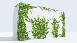 3D ivy natural vines
