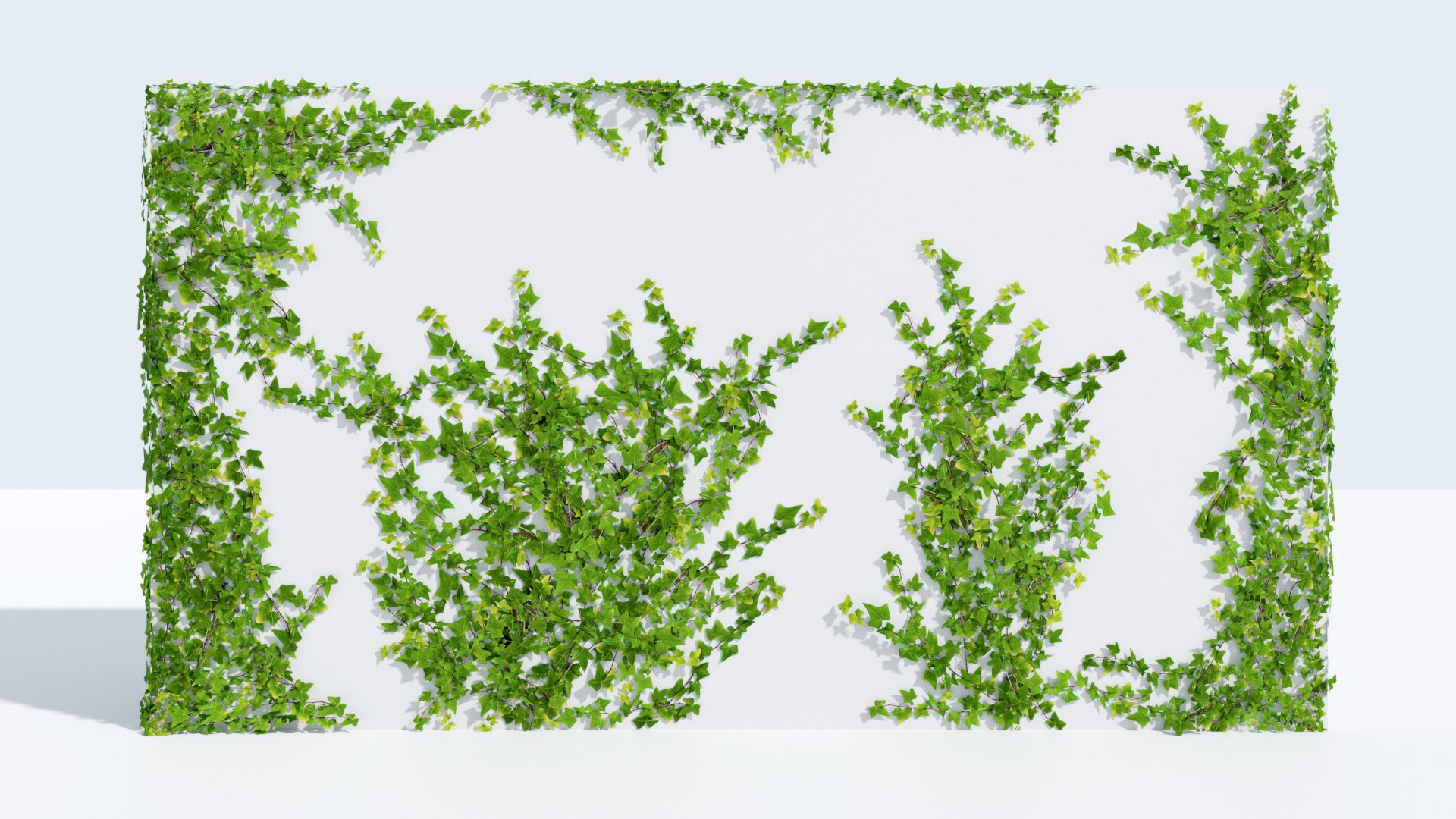 3D ivy natural vines https://p.turbosquid.com/ts-thumb/Mj/PSGZoG/KBGrpTV8/front/png/1557930360/1920x1080/fit_q87/aab46224327f97b9aff79a3ebcf7685279603673/front.jpg
