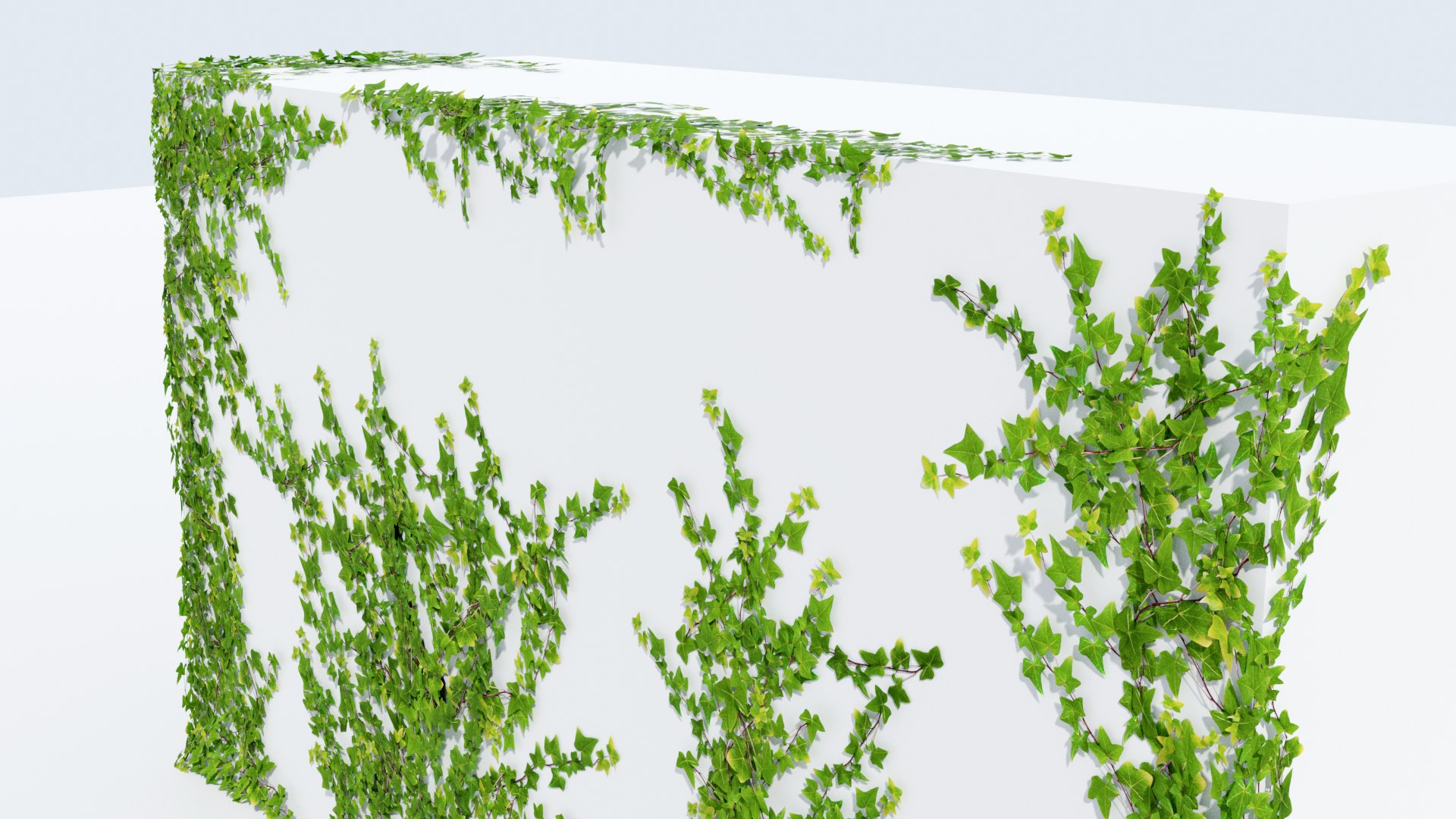 3D ivy natural vines https://p.turbosquid.com/ts-thumb/Mj/PSGZoG/L0BR3aSt/side/png/1557930361/1920x1080/fit_q87/8a3e106d1abb34b99245b96ce154edeac7bb7253/side.jpg