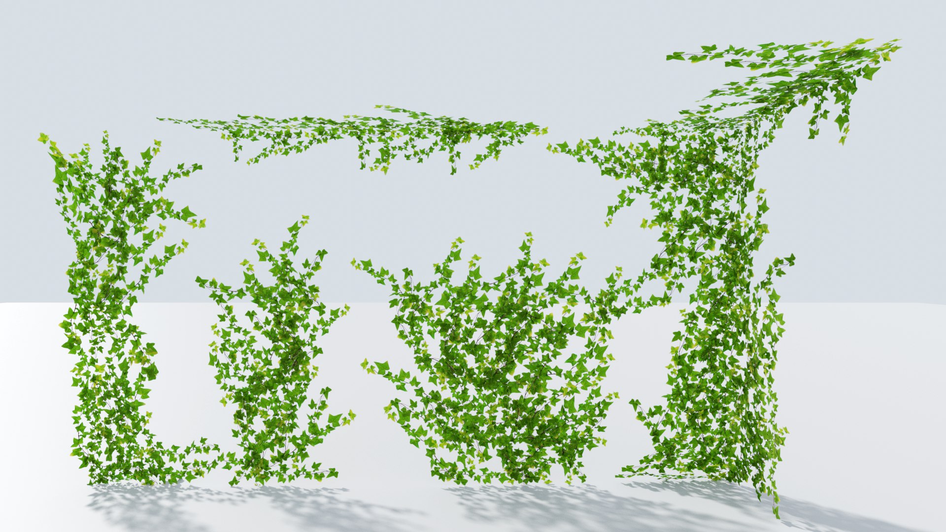 3D ivy natural vines https://p.turbosquid.com/ts-thumb/Mj/PSGZoG/ZhdbXpv7/back/png/1557930360/1920x1080/fit_q87/0044907aa00dcded06597f669b19d26200bfdef9/back.jpg