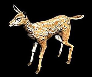 3d model lucky
