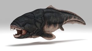 3D extinct dunkleosteus