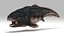 Dunkleosteus