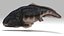 Dunkleosteus