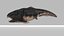 Dunkleosteus