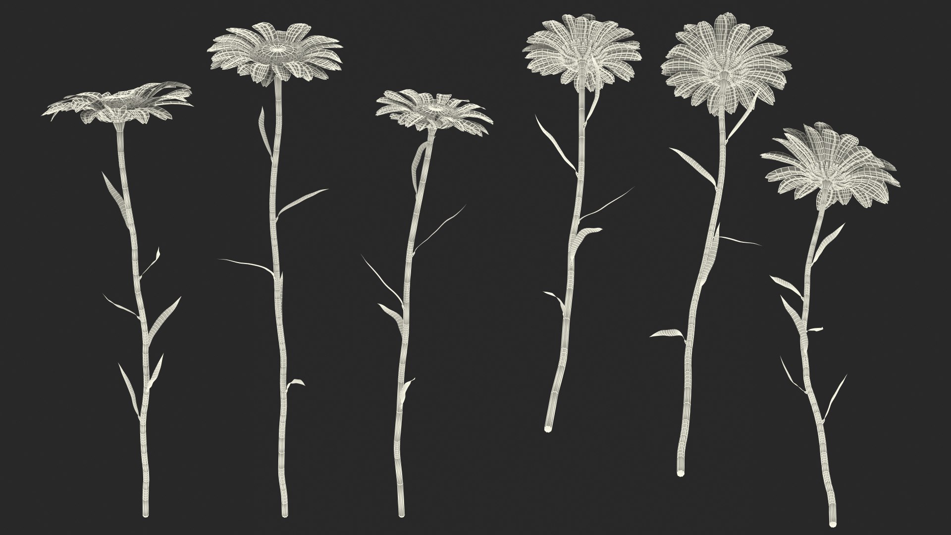 leucanthemum vulgare flowers set 3D model https://p.turbosquid.com/ts-thumb/Mj/dobpAN/2vCwJXce/leucanthemumvulgareflowersset3dsmodel024/jpg/1596871221/1920x1080/fit_q87/b739f684943c97ff592e94892e25961408af054b/leucanthemumvulgareflowersset3dsmodel024.jpg
