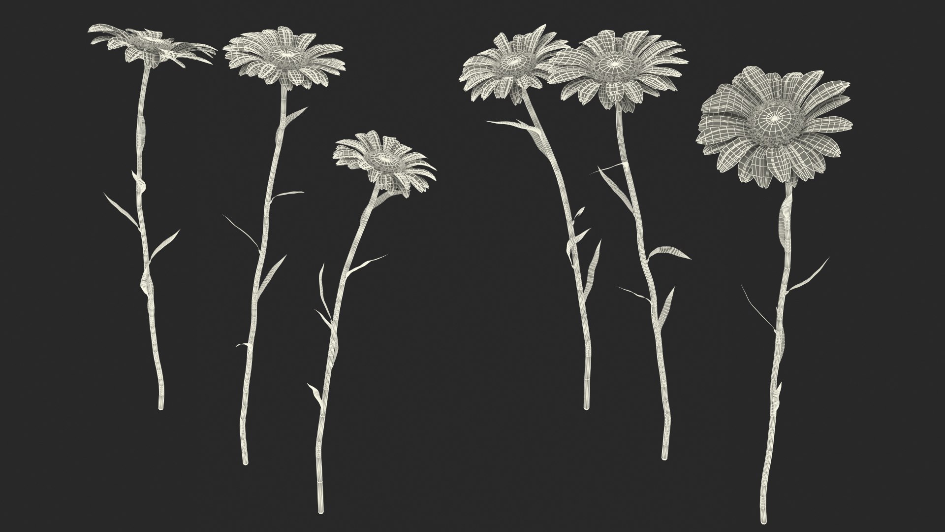 leucanthemum vulgare flowers set 3D model https://p.turbosquid.com/ts-thumb/Mj/dobpAN/A35YIDDt/leucanthemumvulgareflowersset3dsmodel023/jpg/1596871210/1920x1080/fit_q87/29fbf11eea3460fb7be330e6e943f9bc38066b51/leucanthemumvulgareflowersset3dsmodel023.jpg