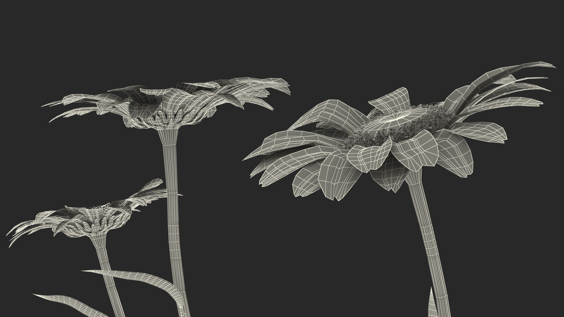 leucanthemum vulgare flowers set 3D model https://p.turbosquid.com/ts-thumb/Mj/dobpAN/ArfBS3D4/leucanthemumvulgareflowersset3dsmodel026/jpg/1596871241/1920x1080/fit_q87/9b526536575c26ae1e9c0bb27ea186d6aff3461d/leucanthemumvulgareflowersset3dsmodel026.jpg