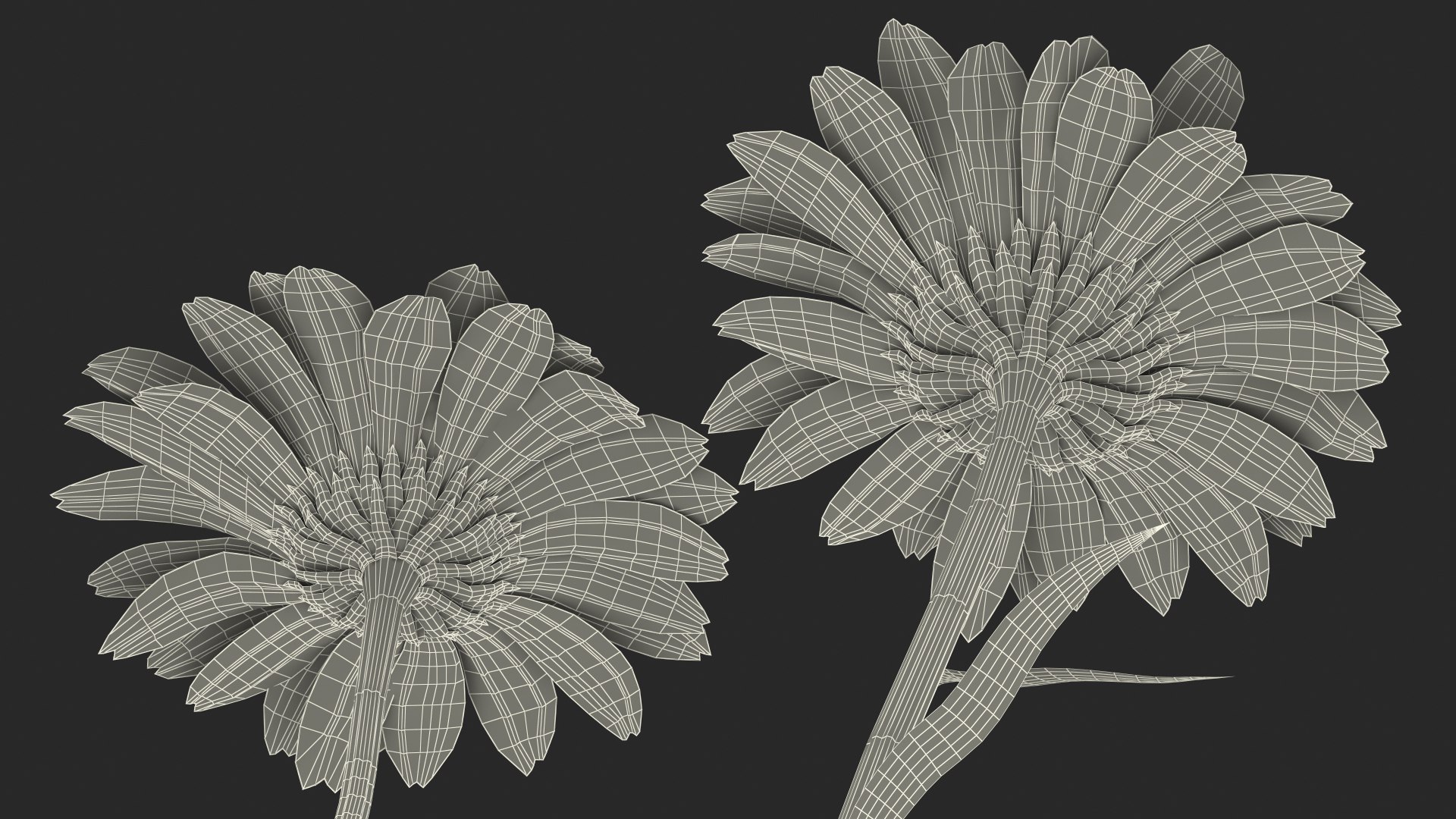 leucanthemum vulgare flowers set 3D model https://p.turbosquid.com/ts-thumb/Mj/dobpAN/BgKHkuk9/leucanthemumvulgareflowersset3dsmodel027/jpg/1596871251/1920x1080/fit_q87/d20c645b2997e9a338121d55e20ccb8f89c796e5/leucanthemumvulgareflowersset3dsmodel027.jpg