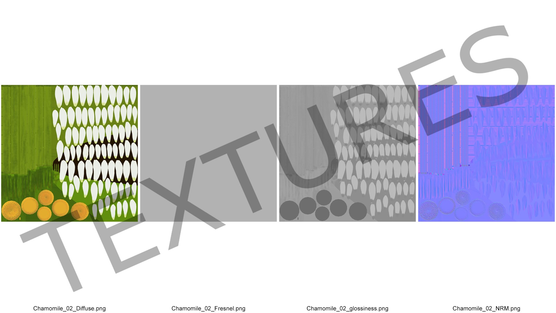 leucanthemum vulgare flowers set 3D model https://p.turbosquid.com/ts-thumb/Mj/dobpAN/JYfL7fhy/leucanthemumvulgareflowersset3dsmodel016/jpg/1596871138/1920x1080/fit_q87/eb0665bebd22b409dc48bbcdb8a4439c62207456/leucanthemumvulgareflowersset3dsmodel016.jpg