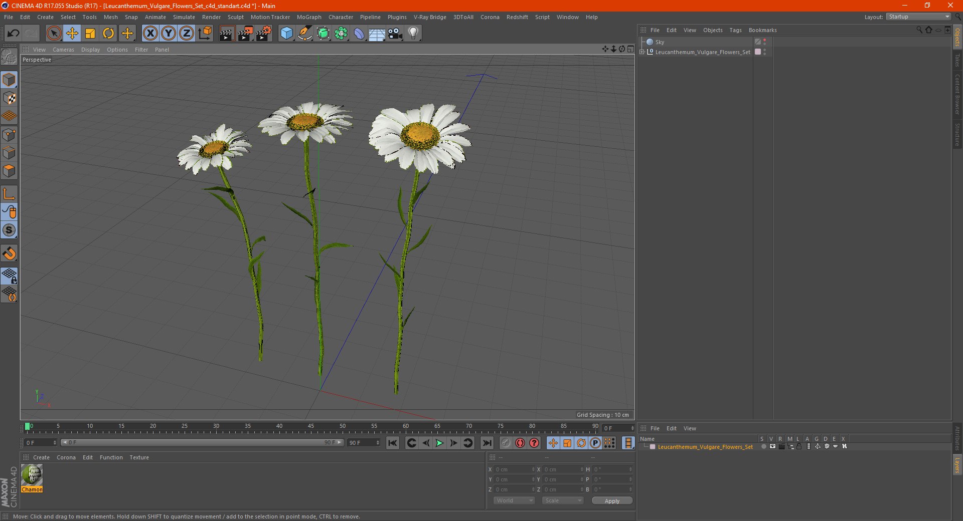 leucanthemum vulgare flowers set 3D model https://p.turbosquid.com/ts-thumb/Mj/dobpAN/SEabDRGg/leucanthemumvulgareflowersset3dsmodel018/jpg/1596871159/1920x1080/fit_q87/4455397c5ac39da616caa447c9b218929095ab39/leucanthemumvulgareflowersset3dsmodel018.jpg
