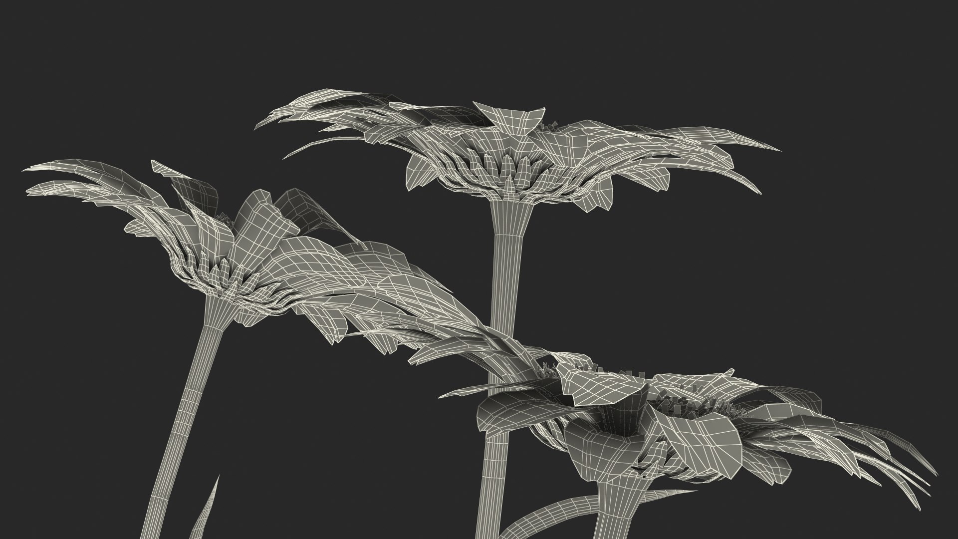 leucanthemum vulgare flowers set 3D model https://p.turbosquid.com/ts-thumb/Mj/dobpAN/d4DV6lOS/leucanthemumvulgareflowersset3dsmodel025/jpg/1596871231/1920x1080/fit_q87/692bcac98902faa1461e8a9b7986286798464fe7/leucanthemumvulgareflowersset3dsmodel025.jpg