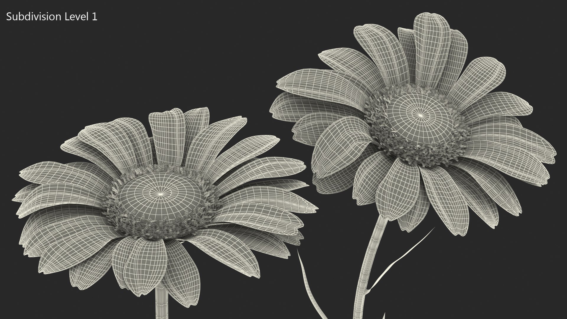 leucanthemum vulgare flowers set 3D model https://p.turbosquid.com/ts-thumb/Mj/dobpAN/dGMsq0OU/leucanthemumvulgareflowersset3dsmodel014/jpg/1596871115/1920x1080/fit_q87/a22072c04f60f5869709d22cb36bd265006d5550/leucanthemumvulgareflowersset3dsmodel014.jpg