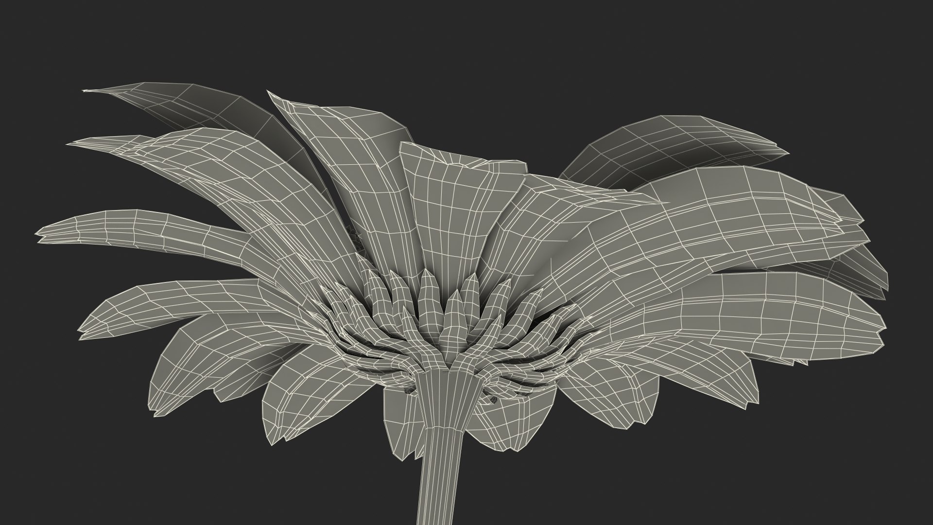 leucanthemum vulgare flowers set 3D model https://p.turbosquid.com/ts-thumb/Mj/dobpAN/eVgd2B39/leucanthemumvulgareflowersset3dsmodel028/jpg/1596871263/1920x1080/fit_q87/38df98b15eb0296dacd0c97d1b32f438d15a7af8/leucanthemumvulgareflowersset3dsmodel028.jpg